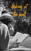 Looking at The Wall (eBook, ePUB)