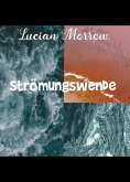 Strömungswende (eBook, ePUB)