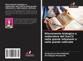 Rilevamento biologico e molecolare del SuLCV nelle piante infestanti e nelle piante coltivate Rilevamento biologico e molecolare del SuLCV nelle piante infestanti e nelle piante coltivate