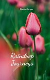 Raindrop Journeys