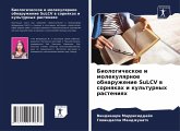 Biologicheskoe i molekulqrnoe obnaruzhenie SuLCV w sornqkah i kul'turnyh rasteniqh