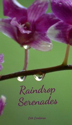 Cover Raindrop Serenades