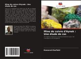 Mine de cuivre d'Aynak : Une étude de cas