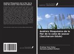 Análisis fitoquímico de la flor de la caña de azúcar (Saccharum Edule)