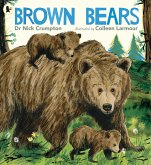 Brown Bears