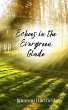 Echoes in the Evergreen Glade - Bild 1
