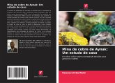 Mina de cobre de Aynak: Um estudo de caso