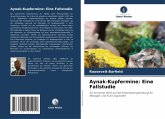 Aynak-Kupfermine: Eine Fallstudie