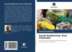Cover Aynak-Kupfermine: Eine Fallstudie
