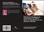 Détection biologique et moléculaire du SuLCV dans les adventices et les plantes cultivées Détection biologique et moléculaire du SuLCV dans les adventices et les plantes cultivées