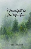Moonlight in the Meadow Moonlight in the Meadow