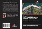 La gestione del marketing nelle grandi aziende commerciali