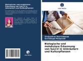 Biologische und molekulare Erkennung von SuLCV in Unkräutern und Kulturpflanzen Biologische und molekulare Erkennung von SuLCV in Unkräutern und Kulturpflanzen