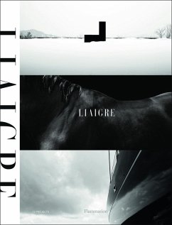 Cover Liaigre: 12 Projects
