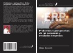 Problemas y perspectivas de las pequeñas y medianas empresas