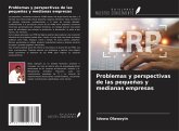 Problemas y perspectivas de las pequeñas y medianas empresas Problemas y perspectivas de las pequeñas y medianas empresas
