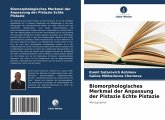 Biomorphologisches Merkmal der Anpassung der Pistazie Echte Pistazie Biomorphologisches Merkmal der Anpassung der Pistazie Echte Pistazie