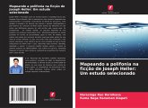 Mapeando a polifonia na ficção de Joseph Heller: Um estudo selecionado