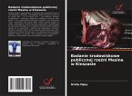Badanie ¿rodowiskowe publicznej rze¿ni Masina w Kinszasie