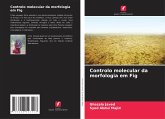 Controlo molecular da morfologia em Fig