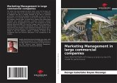 Marketing Management in large commercial companies