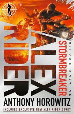 Cover Stormbreaker