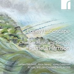 Cover Lonely Landscape