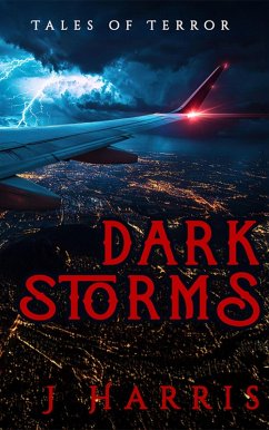 Cover Dark Storms (eBook, ePUB)