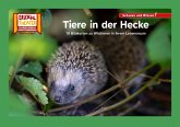 Tiere in der Hecke / Kamishibai Bildkarten Tiere in der Hecke / Kamishibai Bildkarten
