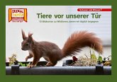 Tiere vor unserer Tür / Kamishibai Bildkarten