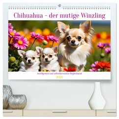Cover Chihuahua - der mutige Winzling (hochwertiger Premium Wandkalender 2026 DIN A2 quer), Kunstdruck in Hochglanz