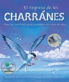 El Regreso de Los Charranes: Cómo Los Científicos Están Salvando a Las Aves de Islas El Regreso de Los Charranes: Cómo Los Científicos Están Salvando a Las Aves de Islas
