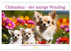 Cover Chihuahua - der mutige Winzling (Wandkalender 2026 DIN A3 quer), CALVENDO Monatskalender