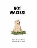 Not Walter Not Walter