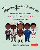 Pequenos Grandes Visionários (eBook, ePUB)