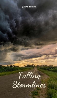 Cover Falling Stormlines