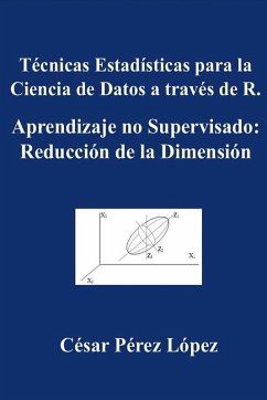 Cover Técnicas Estadísticas para la Ciencia de Datos a través de R. Aprendizaje no Supervisado