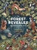 The Forest Revealed The Forest Revealed