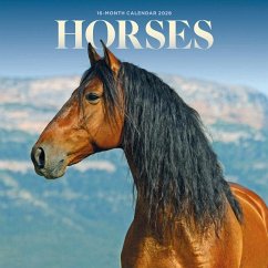 Cover 2026 Horses Mini Wall Calendar