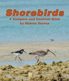 Shorebirds