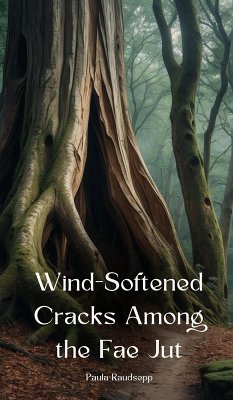 Wind-Softened Cracks Among the Fae Jut - Raudsepp, Paula