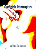 Camgirls Interruptus Pt.1 (eBook, ePUB)