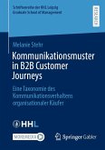 Kommunikationsmuster in B2B Customer Journeys (eBook, PDF)