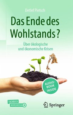 Das Ende des Wohlstands? (eBook, PDF) - Pietsch, Detlef