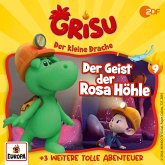 Folge 9: Der Geist der Rosa Höhle (MP3-Download) Folge 9: Der Geist der Rosa Höhle (MP3-Download)