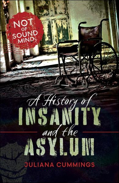 History of Insanity and the Asylum (eBook, ePUB) History of Insanity and the Asylum (eBook, ePUB)