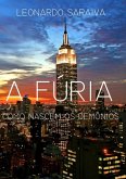 A Fúria (eBook, PDF)