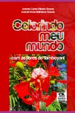Colorindo Meu Mundo (eBook, PDF)