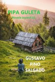 Pipa Guleta (eBook, ePUB)