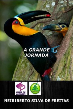 Cover A Grande Jornada De Azul E Amarelo (eBook, ePUB)